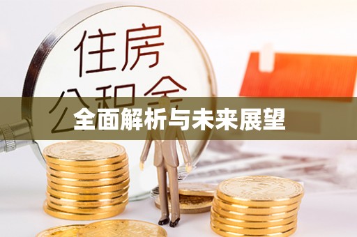 青阳全面解析与未来展望