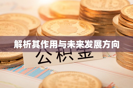 青阳解析其作用与未来发展方向