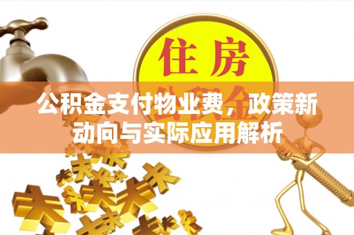 青阳公积金支付物业费，政策新动向与实际应用解析
