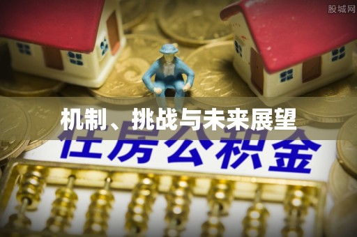 青阳机制、挑战与未来展望