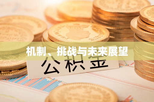 青阳机制、挑战与未来展望