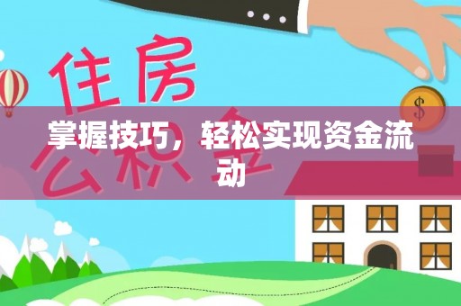 青阳掌握技巧，轻松实现资金流动