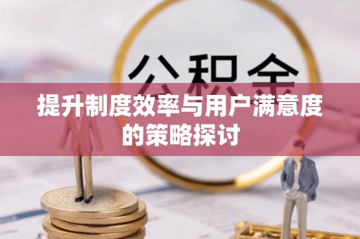 青阳提升制度效率与用户满意度的策略探讨