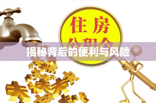 青阳揭秘背后的便利与风险